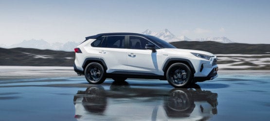 TOYOTA 4X4 SÓLIDOS Y CUMPLIDORES